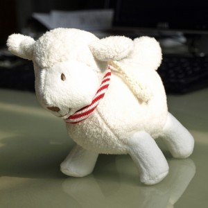 Das Schaf von Babylove. Das Schaf von Babylove.