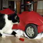Bobbycar, BMW