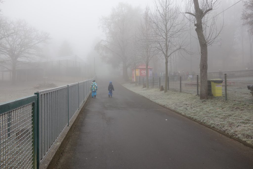 Zoobesuch im Nebel (Neuwied): Ausflugsziel im Silvester-Programm der Jugendherberge Leutesdorf