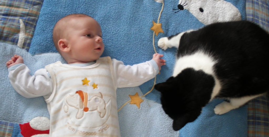 Als die Katze noch schwerer war, als das Kind.