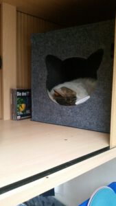 Die Katzenhöhle im Fernsehschrank im Wohnwagen