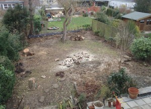 Unser zukünftiger Garten, noch ohne Zaun aber schon ohne gefährliche (giftige) Pflanzen, leider auch noch ohne Rasen