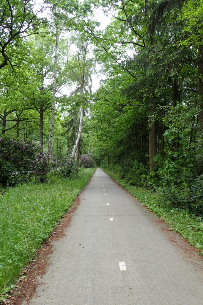 gleichberechtigung fahrrad und auto in knotenpunkt